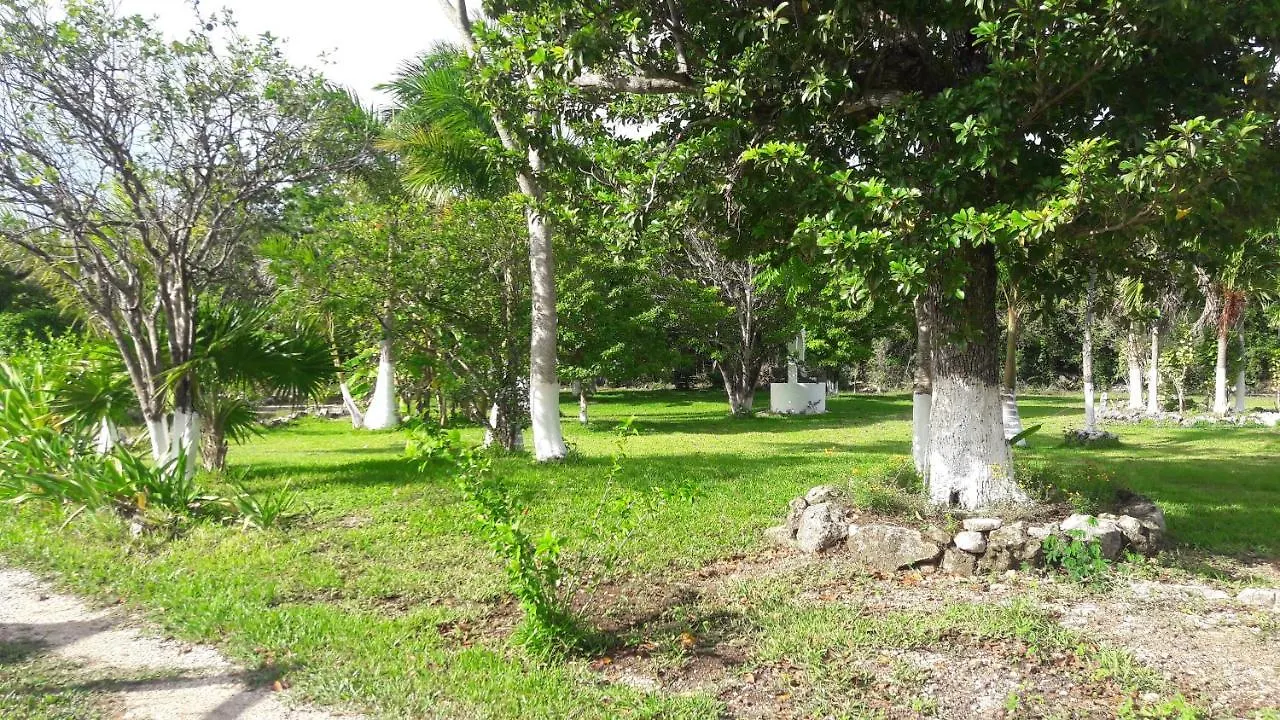 Aldea Isla Sagrada Villa Cozumel Lodge