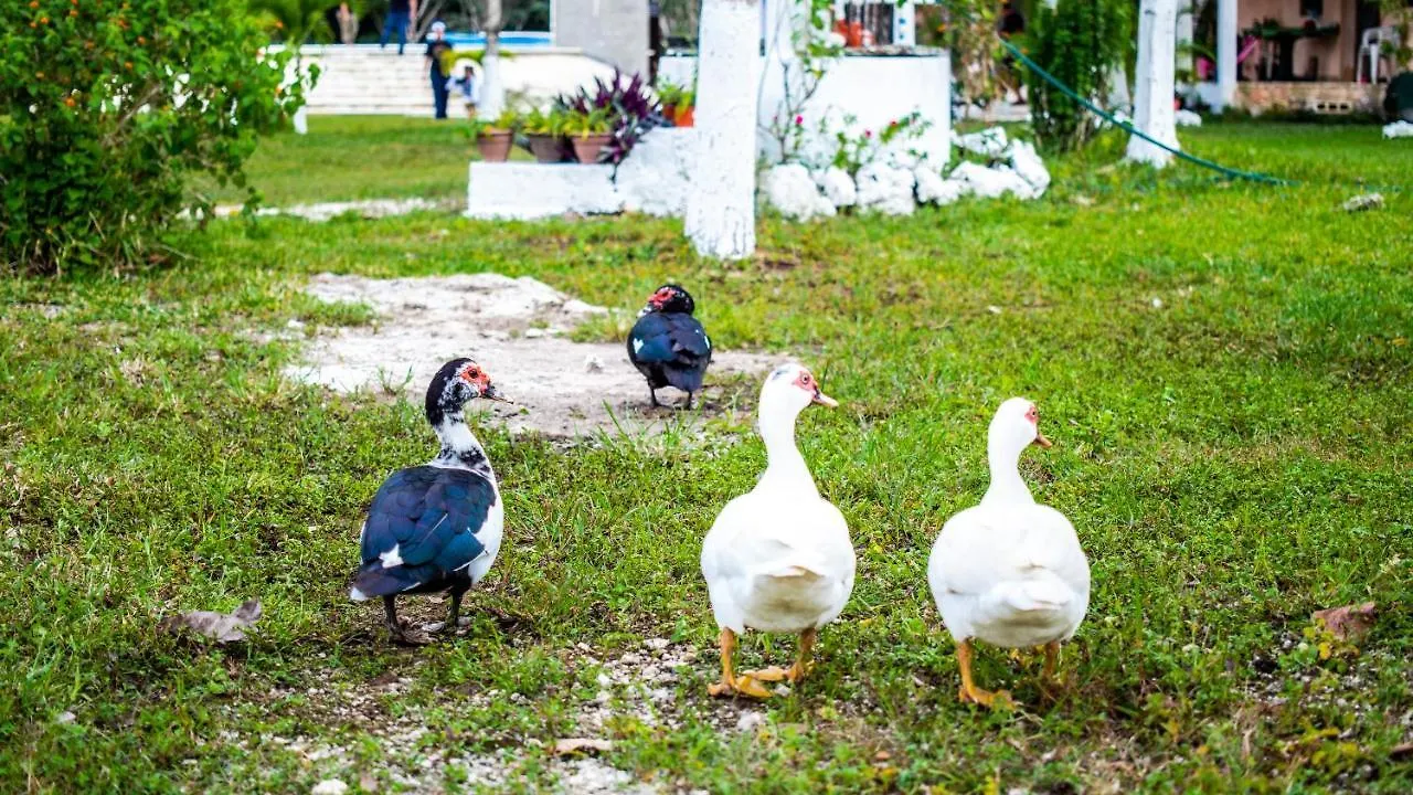 فيلا Aldea Isla Sagrada كوزوميل